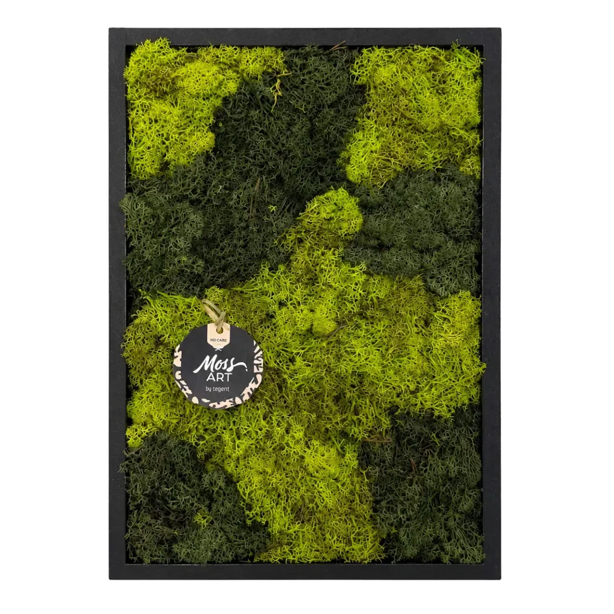Quadro in Muschio Stabilizzato Moss Art - Esperit Elements