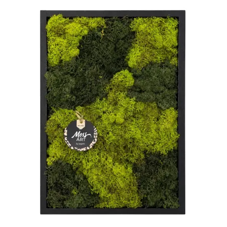 Quadro in Muschio Stabilizzato Moss Art - Esperit Elements