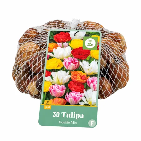 Confezione da 30 bulbi di Tulipano Double Mix JUB Holland