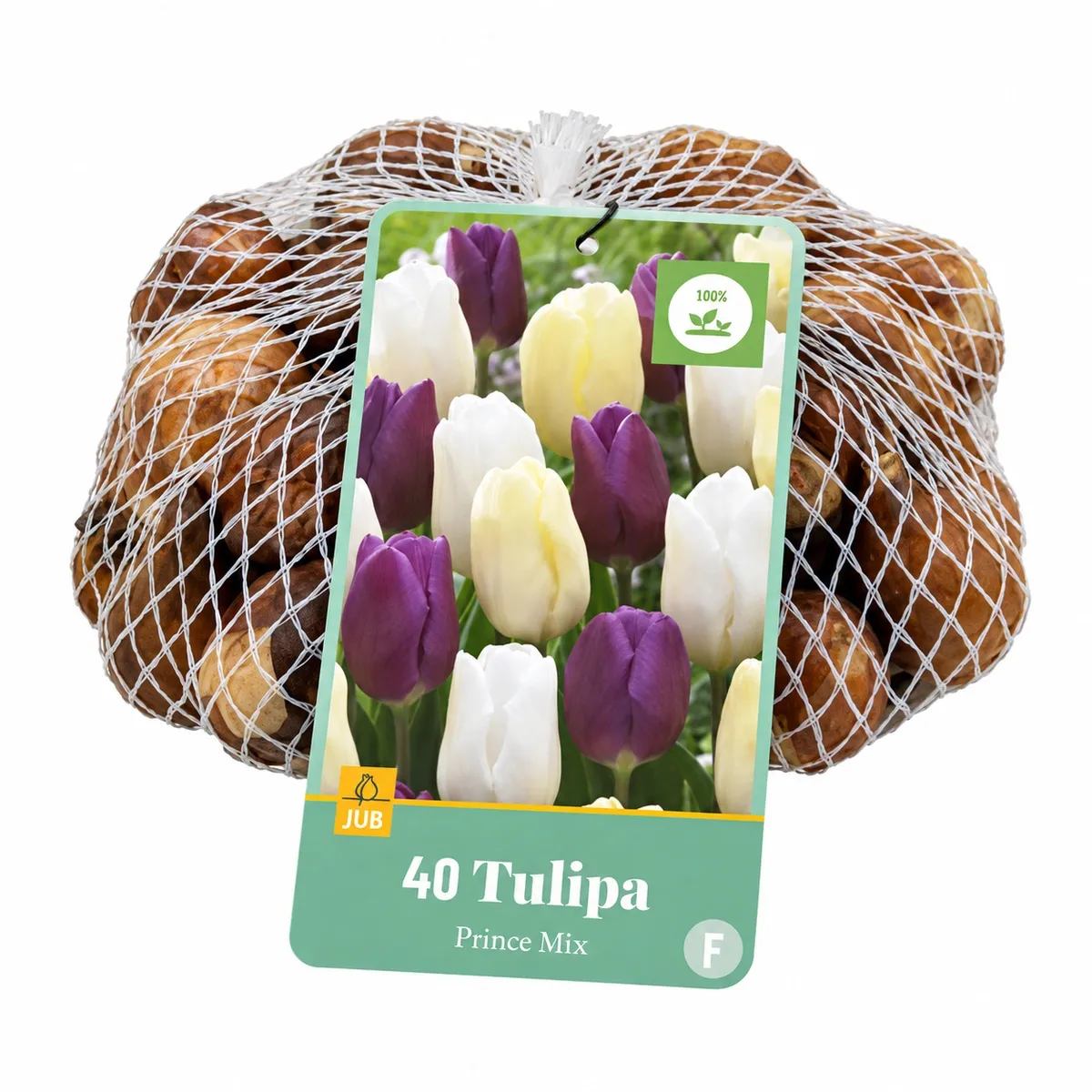 Confezione da 40 bulbi di Tulipano Prince Mix JUB Holland