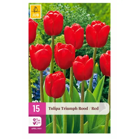 Confezione da 15 bulbi di Tulipano Triumph Rosso JUB Holland