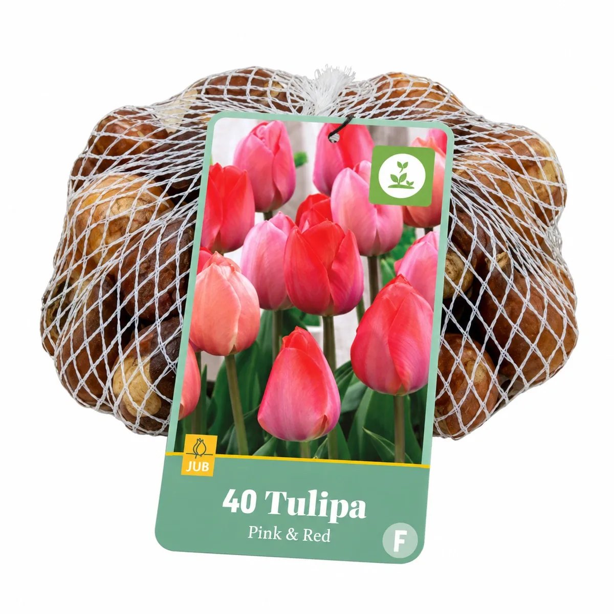 Bulbi di Tulipani Triumph Rosa e Rossi Mix (40 bulbi) | JUB Holland