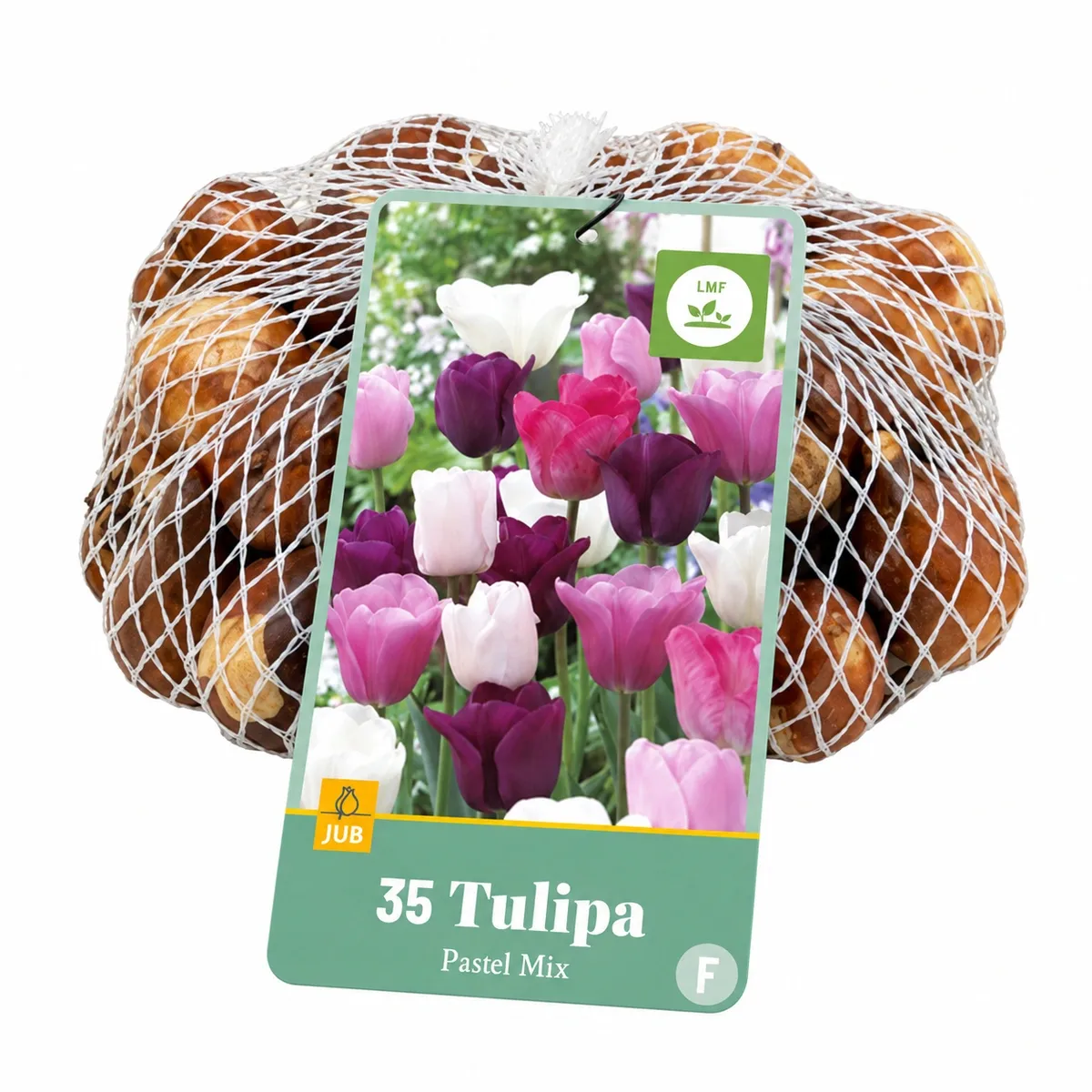 Bulbi di Tulipani Mix Pastello (35 bulbi) | JUB Holland
