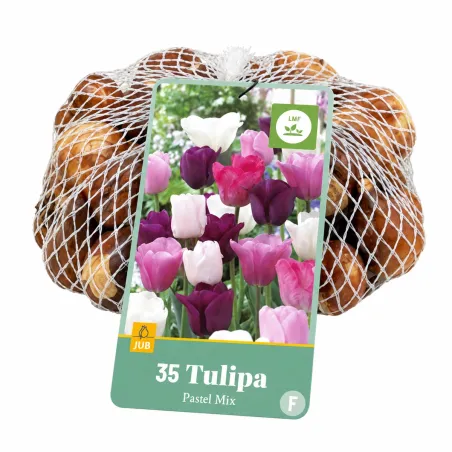 Bulbi di Tulipani Mix Pastello (35 bulbi) | JUB Holland