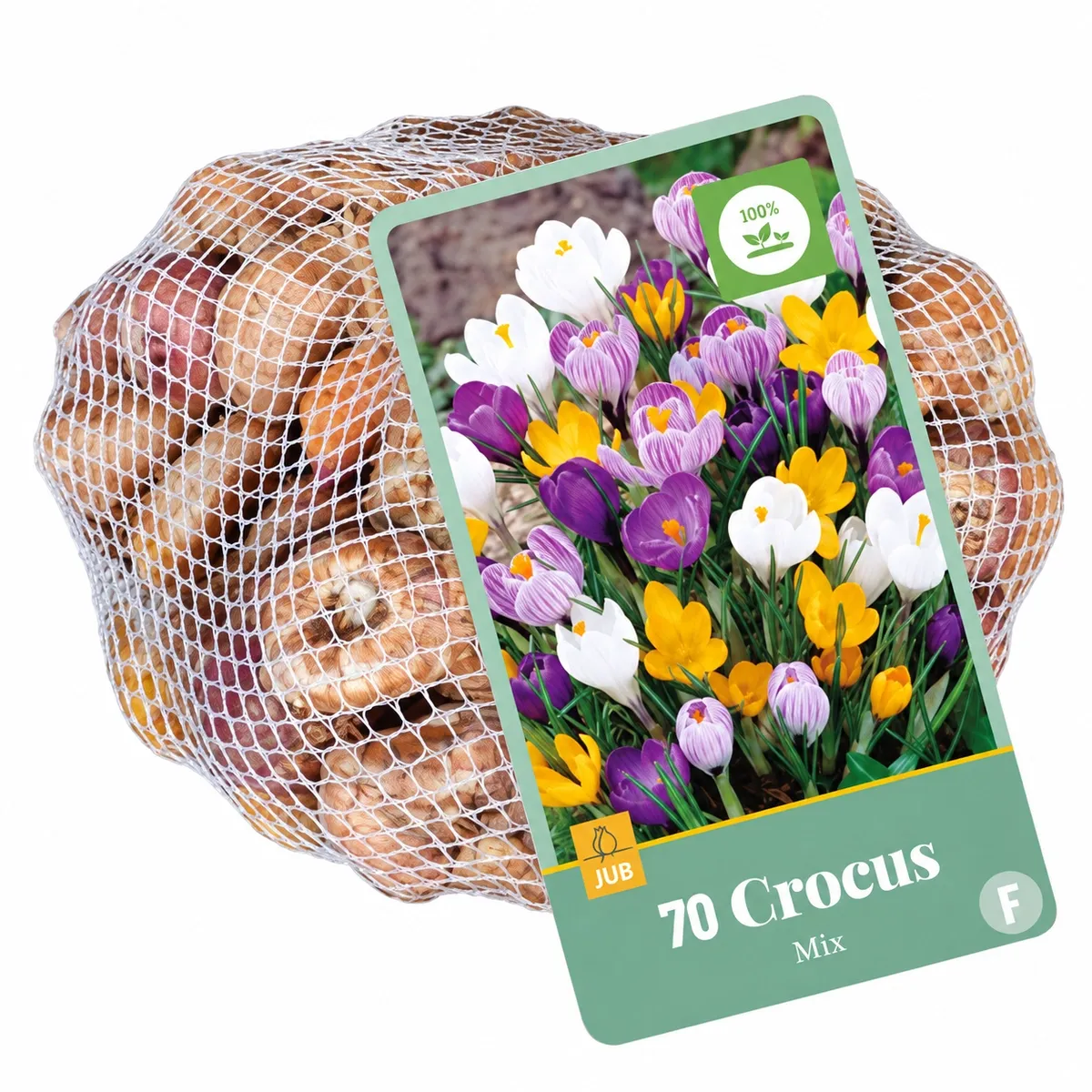 Retina da 70 bulbi di Crocus Fiore Grande Mix JUB Holland