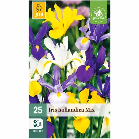Confezione autunnale da 25 bulbi di Iris hollandica Mix JUB Holland