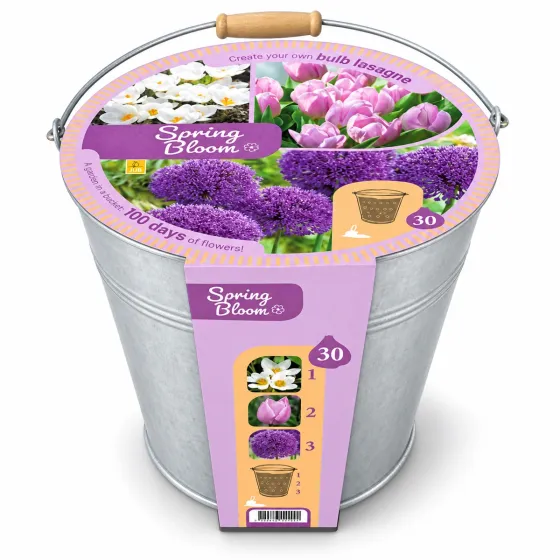 Kit Spring Bloom JUB Holland: secchiello con 30 bulbi di crocus, tulipani e allium