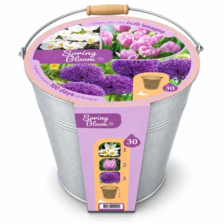 Kit Spring Bloom JUB Holland: secchiello con 30 bulbi di crocus, tulipani e allium