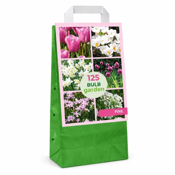 Maxi Bag Garden Pink JUB Holland - confezione da 125 bulbi rosa e bianchi