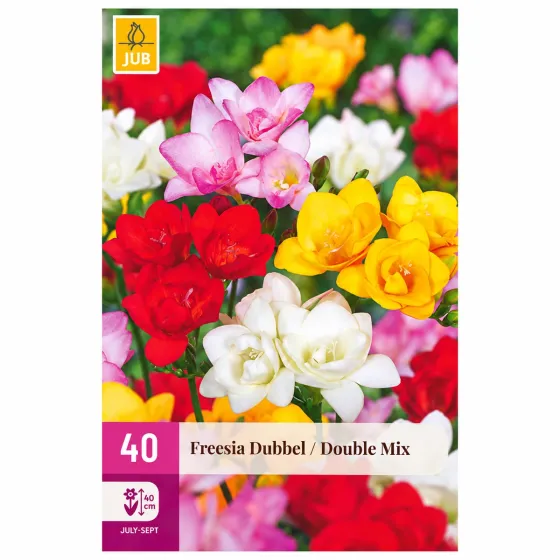 Confezione da 40 bulbi di Fresia Doppia Autunnale MIX JUB Holland