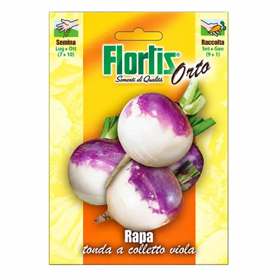 Bustina di semi di Rapa Tonda a Colletto Viola Flortis