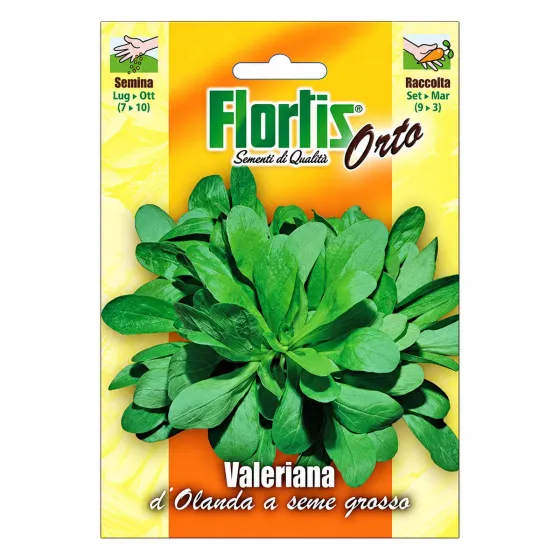 Bustina di semi di Valeriana d’Olanda a Seme Grosso Flortis