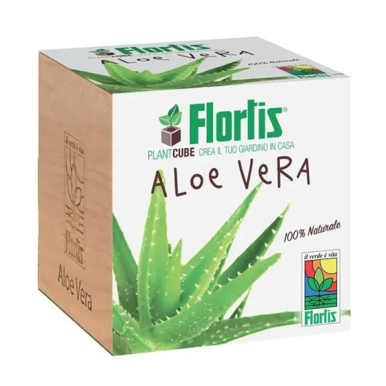 Aloe Vera in PLANTCUBE FLORTIS